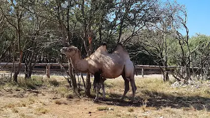 parc animalier ginasservis