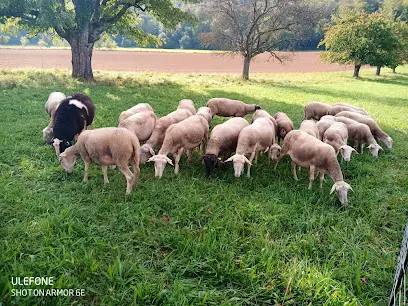 Ferme du Luppachhof