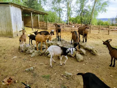 La ferme du Chaudron Magique