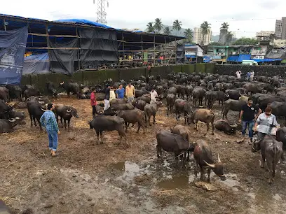 Deonar Slaughterhouse