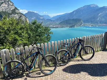 The Lab Bike Wellness