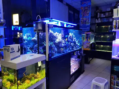 Acquariomania