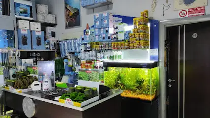 IL TUO ACQUARIO