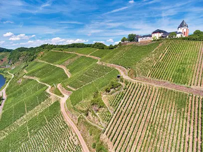 Weingut Clemens Busch