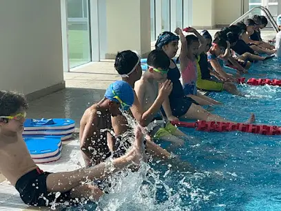 Modern swim academy