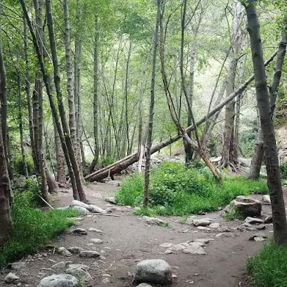 Eaton Canyon Falls