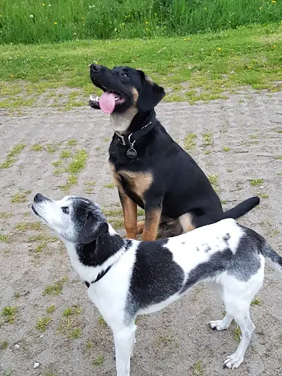 Stichting Kinderdorp Bennekom