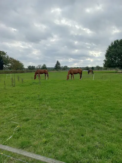 Stichting de Vrolijkheid Wageningen