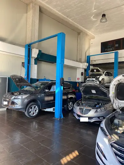 Bosch Car Service Dlg Meccatronic Srl