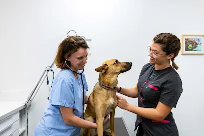 Clinique Vétérinaire Argos