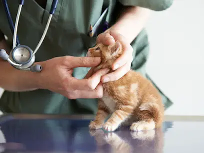 Marigin Tierklinik - Zentrum für Tiermedizin