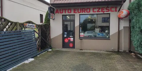 Auto-Euro-Części. Sklep motoryzacyjny