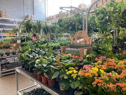 Centre jardin extérieur de Home Depot