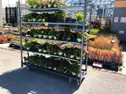 Garden Centre at RONA