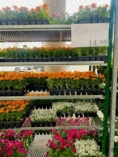 Costco Garden Centre