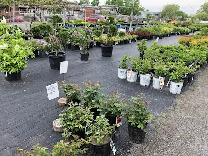 Cinquino Garden Center