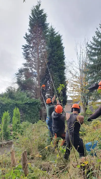 KNUTSFORD TREE & STUMP REMOVALS/KNUTSFORD TREE SURGEON