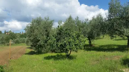 DISTRIBUZIONE FORMAGGI FRESCHI ROMA | INGROSSO PRODOTTI ALIMENTARI MANDRELLI S.R.L.