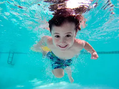 Mantenimiento de Piscinas en Sevilla, Socorrista y Comunidades