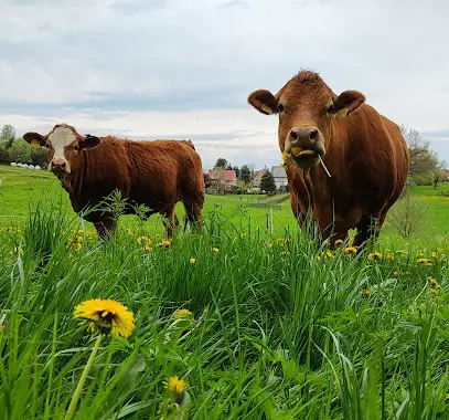 Landwirtschaftsbetrieb Wöllner