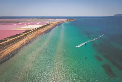 FLAMINGO KITE CLUB