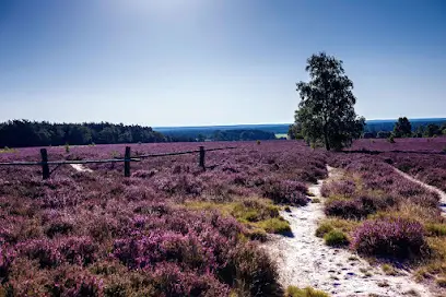 Lüneburger Heide GmbH