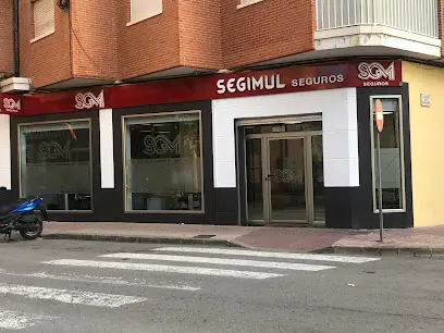 Segimul Seguros