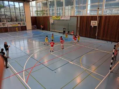 Handball Club Crissier