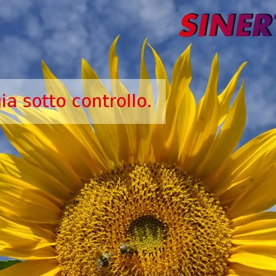 Sinertec S.r.l.