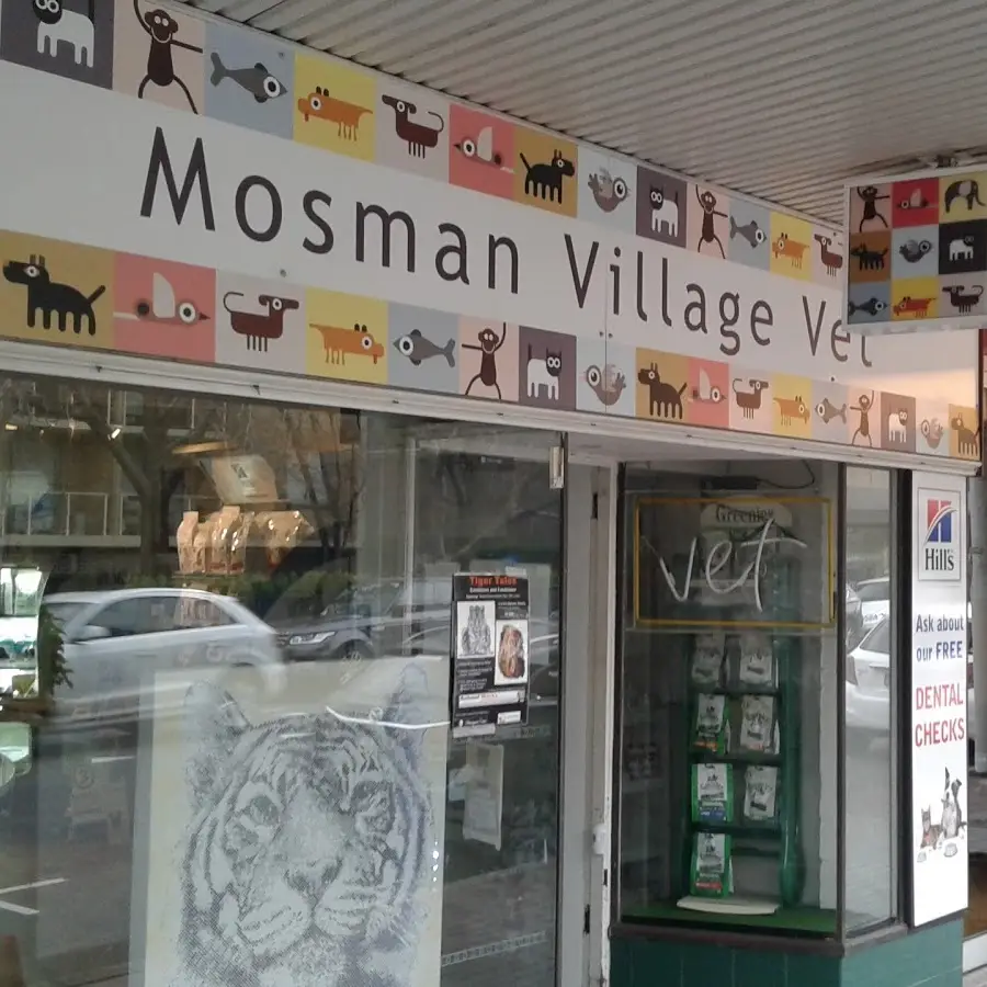 Mosman Village Vet